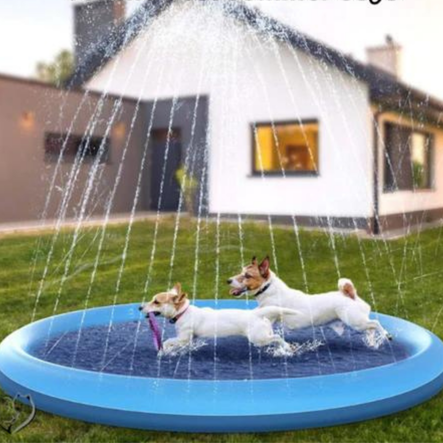 [ALMOST SOLD OUT] - Soggy Doggy Splash Zone