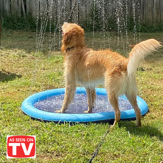 [ALMOST SOLD OUT] - Soggy Doggy Splash Zone