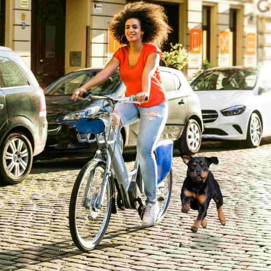 PoochPedalPal - Biking leash for joyful dog companions