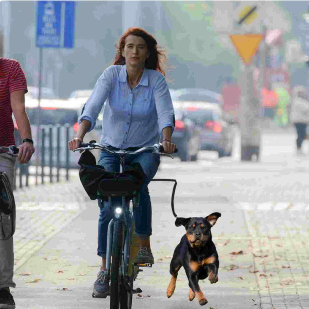 PoochPedalPal - Biking leash for joyful dog companions