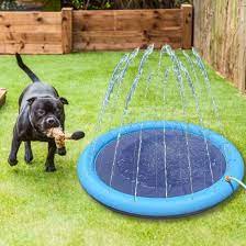 [ALMOST SOLD OUT] - Soggy Doggy Splash Zone